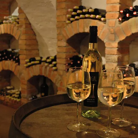 شقة Marienkeller *